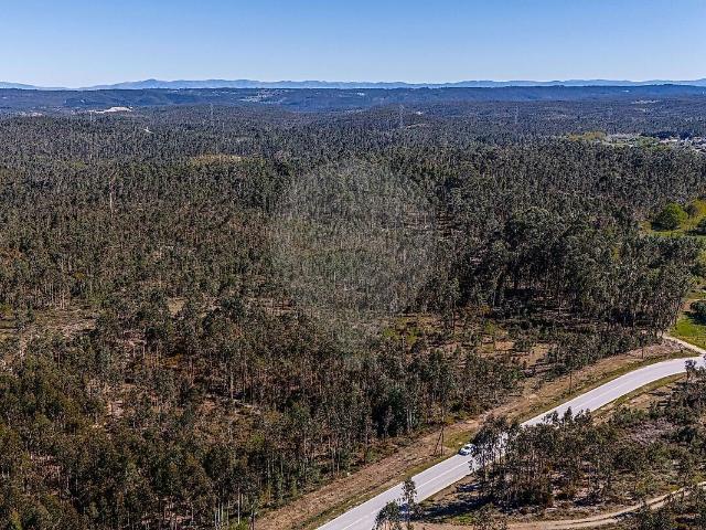 Terreno à venda em Barreiro de Besteiros e Tourigo, Tondela RE/MAX Portugal