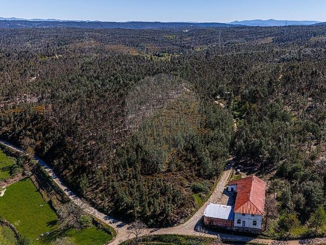 Terreno à venda em Barreiro de Besteiros e Tourigo, Tondela RE/MAX Portugal