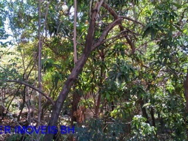 Terreno à venda em Belo Horizonte MG, Jardim América: 1.200m² de área!