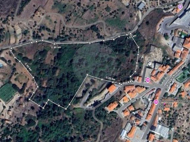 Terreno à venda em Belmonte