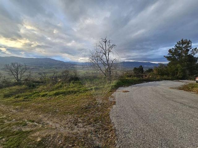 Terreno à venda em Belmonte e Colmeal da Torre, Belmonte RE/MAX Portugal