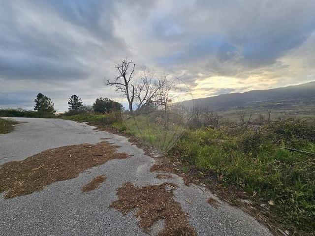 Terreno à venda em Belmonte e Colmeal da Torre, Belmonte RE/MAX Portugal