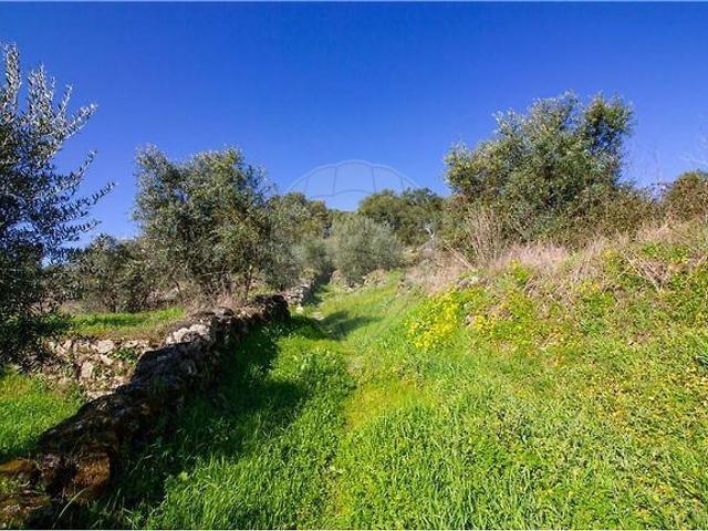 Terreno à venda em Belmonte e Colmeal da Torre, Belmonte RE/MAX Portugal