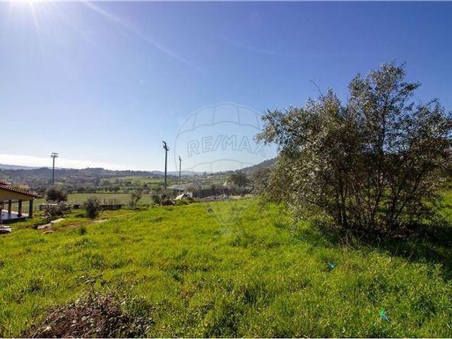Terreno à venda em Belmonte e Colmeal da Torre, Belmonte RE/MAX Portugal