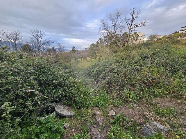 Terreno à venda em Belmonte e Colmeal da Torre, Belmonte RE/MAX Portugal