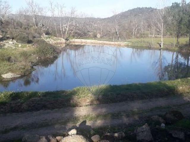Terreno à venda em Belmonte e Colmeal da Torre, Belmonte RE/MAX Portugal