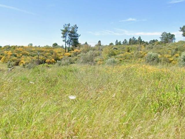 Terreno à venda em Belver, Gavião RE/MAX Portugal