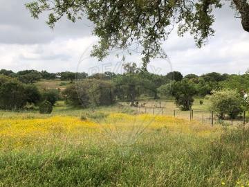 Terreno à venda em Benavente