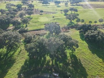 Terreno à venda em Benavente