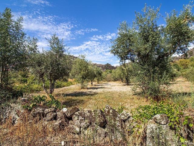 Terreno à venda em Bendada, Sabugal RE/MAX Portugal