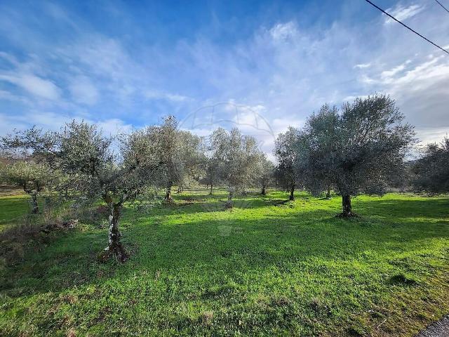 Terreno à venda em Benquerença, Penamacor RE/MAX Portugal