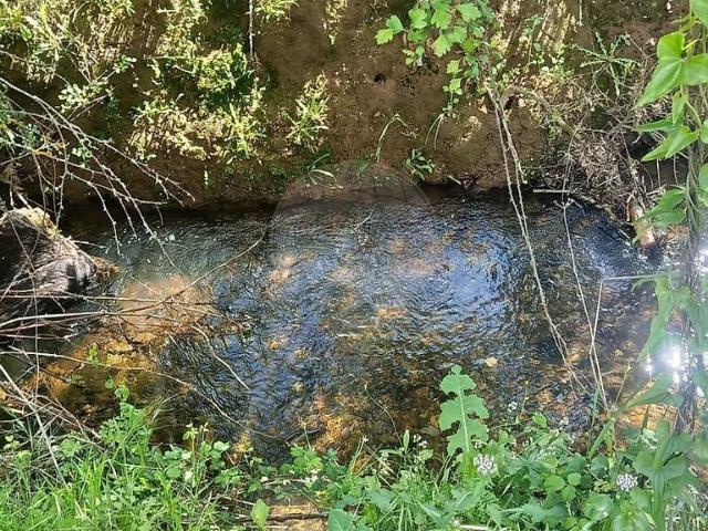 Terreno à venda em Benquerença, Penamacor RE/MAX Portugal