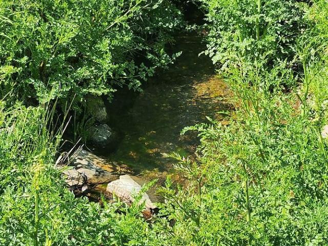 Terreno à venda em Benquerença, Penamacor RE/MAX Portugal