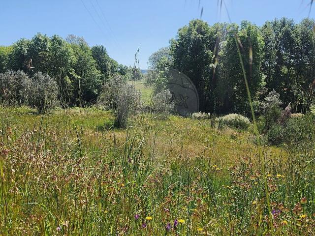 Terreno à venda em Benquerença, Penamacor RE/MAX Portugal