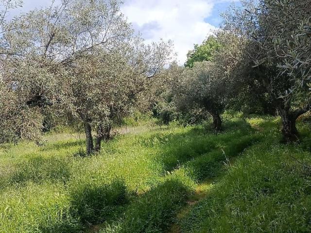 Terreno à venda em Benquerença, Penamacor RE/MAX Portugal