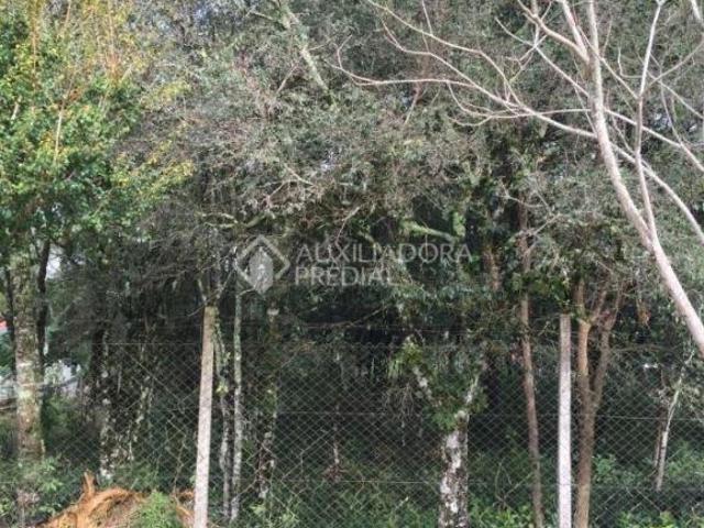 Terreno à venda em Bento Gonçalves
