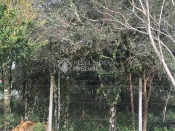 Terreno à venda em Bento Gonçalves