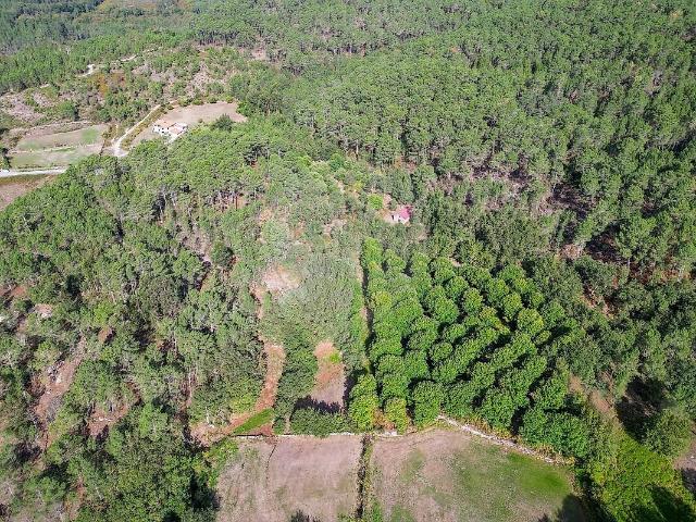 Terreno à venda em Bilhó, Mondim de Basto RE/MAX Portugal