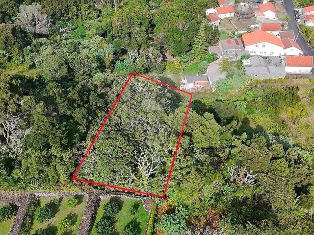 Terreno à venda em Biscoitos, Praia da Vitória RE/MAX Portugal
