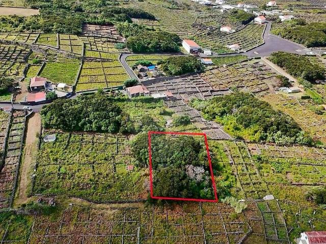 Terreno à venda em Biscoitos, Praia da Vitória RE/MAX Portugal