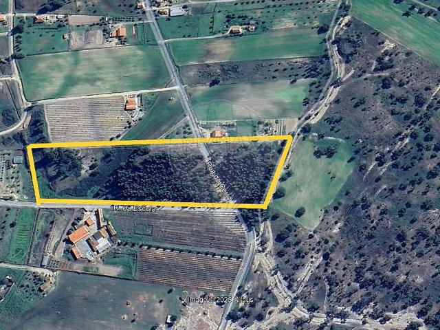 Terreno à venda em Branca, Coruche RE/MAX Portugal