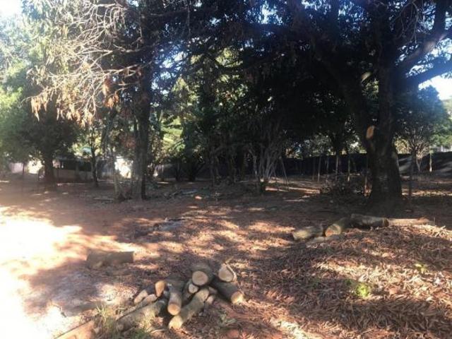 Terreno à venda em Braúnas