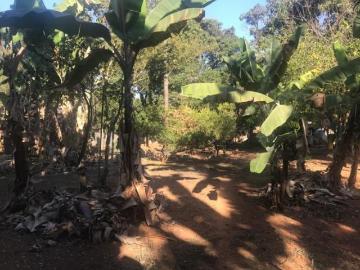 Terreno à venda em Braúnas