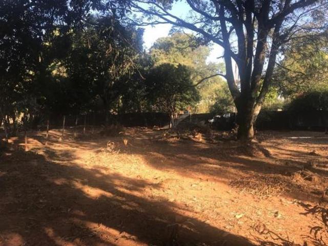 Terreno à venda em Braúnas