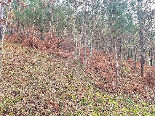 Terreno à venda em Bravães, Ponte da Barca RE/MAX Portugal