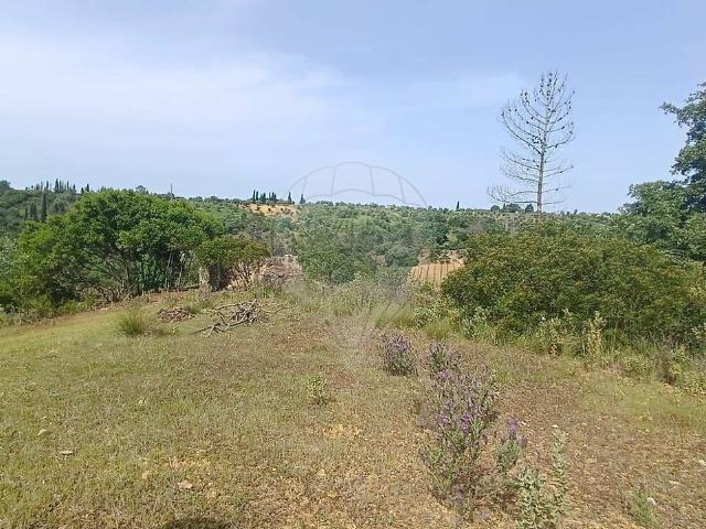 Terreno à venda em Brogueira, Parceiros de Igreja e Alcorochel, Torres Novas RE/MAX Portugal