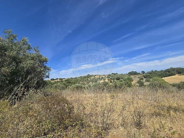 Terreno à venda em Brogueira, Parceiros de Igreja e Alcorochel, Torres Novas RE/MAX Portugal