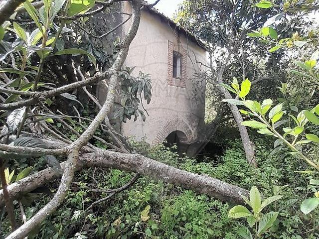 Terreno à venda em Brogueira, Parceiros de Igreja e Alcorochel, Torres Novas RE/MAX Portugal