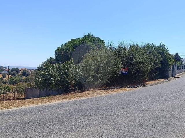 Terreno à venda em Brogueira, Parceiros de Igreja e Alcorochel, Torres Novas RE/MAX Portugal