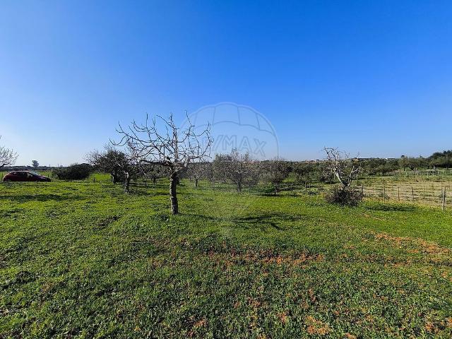 Terreno à venda em Brogueira, Parceiros de Igreja e Alcorochel, Torres Novas RE/MAX Portugal