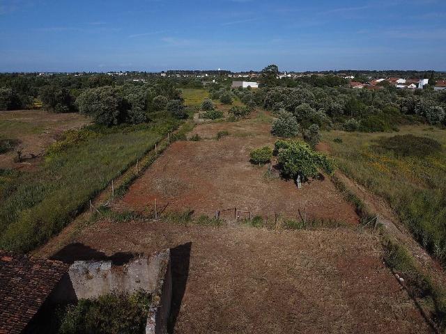Terreno à venda em Brogueira, Parceiros de Igreja e Alcorochel, Torres Novas RE/MAX Portugal