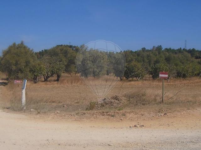 Terreno à venda em Brogueira, Parceiros de Igreja e Alcorochel, Torres Novas RE/MAX Portugal