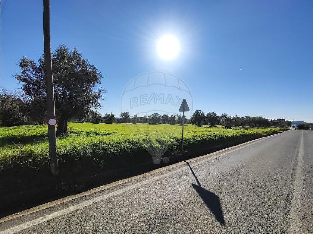 Terreno à venda em Brogueira, Parceiros de Igreja e Alcorochel, Torres Novas RE/MAX Portugal