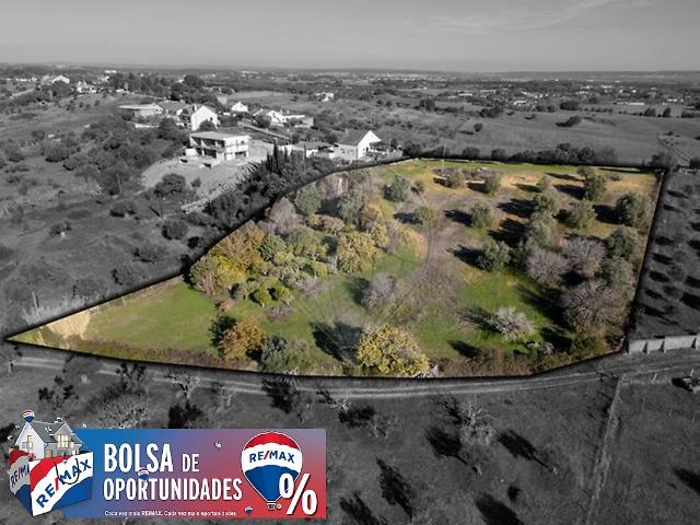 Terreno à venda em Brogueira, Parceiros de Igreja e Alcorochel, Torres Novas RE/MAX Portugal