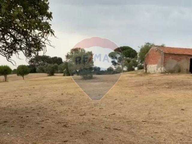 Terreno à venda em Brogueira