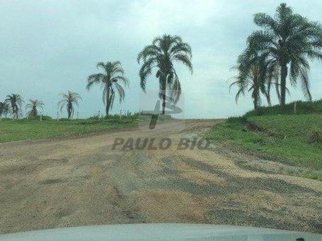 Terreno à venda em Brotas