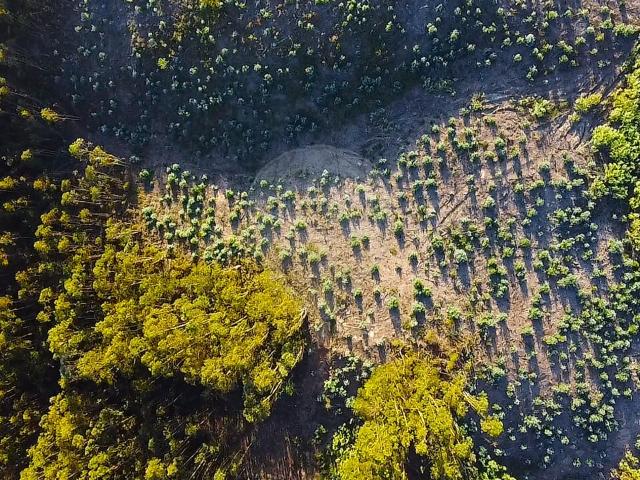 Terreno à venda em Buarcos e São Julião, Figueira da Foz RE/MAX Portugal