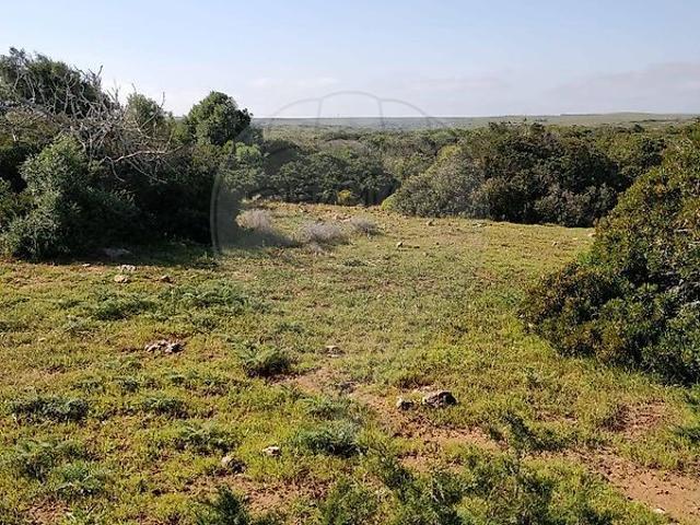 Terreno à venda em Budens, Vila do Bispo RE/MAX Portugal