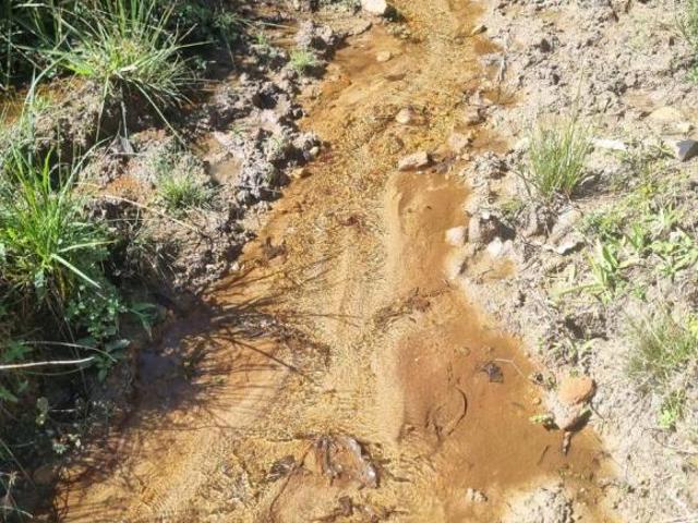 Terreno à Venda em Bueno Brandão – MG | 20.000 m² com Nascente e Vista Espetacular