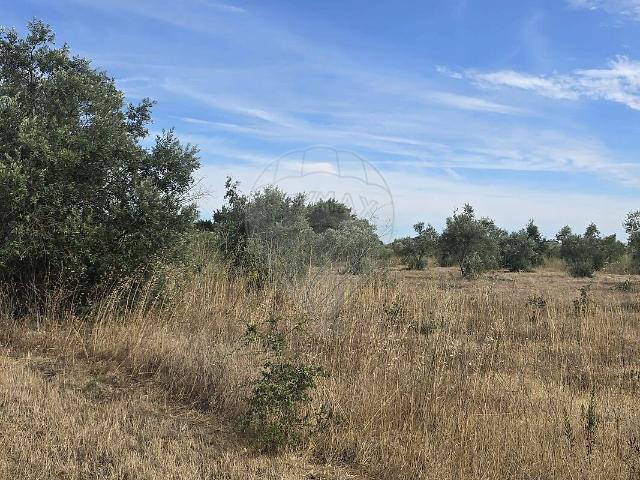 Terreno à venda em Bugalhos, Alcanena RE/MAX Portugal