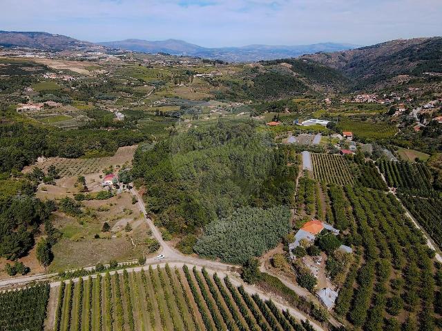 Terreno à venda em Gouviães e Ucanha, Tarouca RE/MAX Portugal