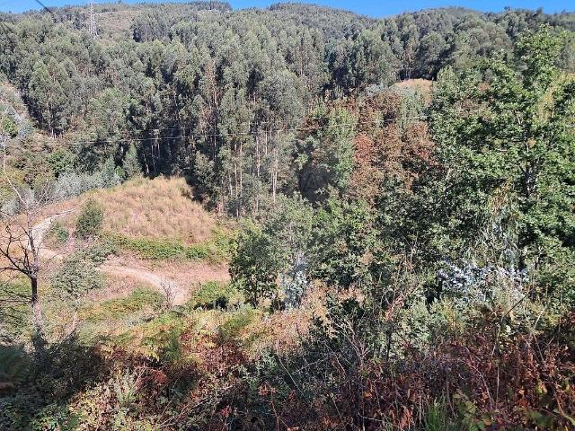 Terreno à venda em Gove, Baião RE/MAX Portugal