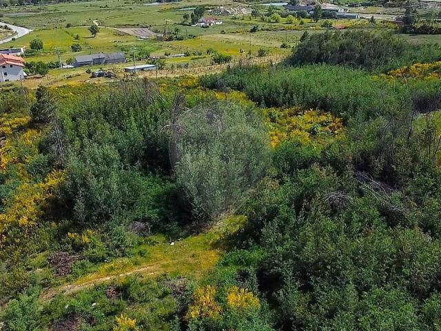Terreno à venda em Gonçalo, Guarda RE/MAX Portugal