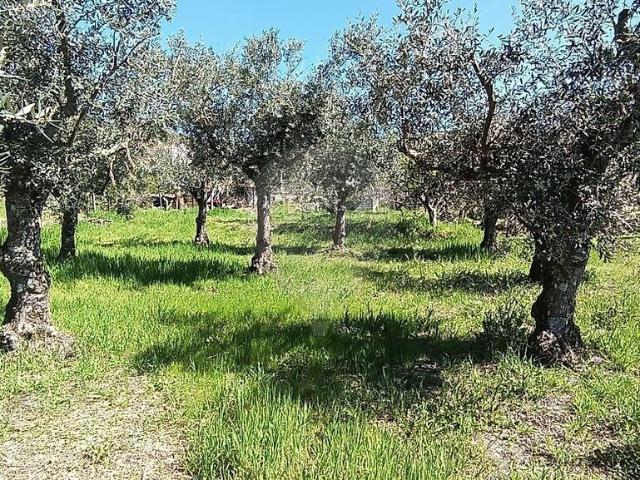Terreno à venda em Gonçalo, Guarda RE/MAX Portugal