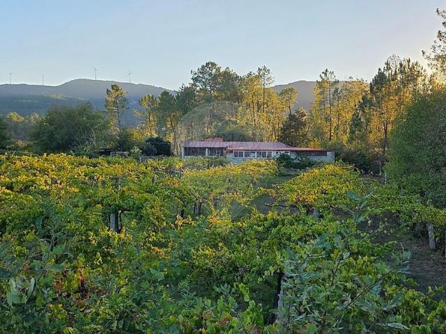Terreno à venda em Gondomil e Sanfins, Valença RE/MAX Portugal