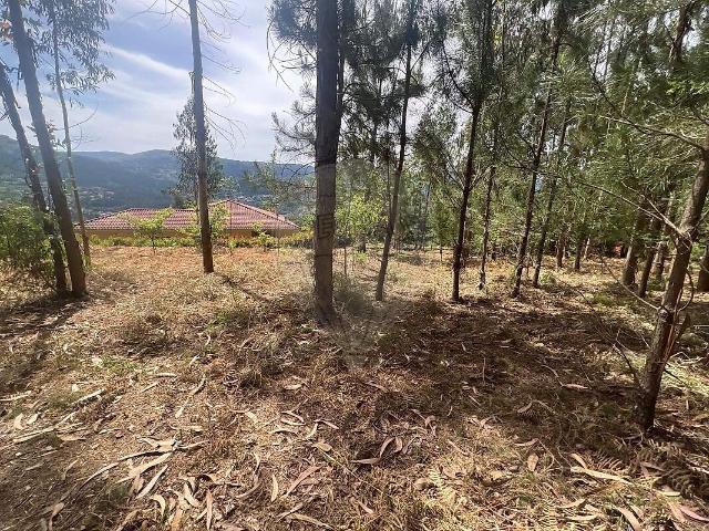 Terreno à venda em Gondoriz, Arcos de Valdevez RE/MAX Portugal